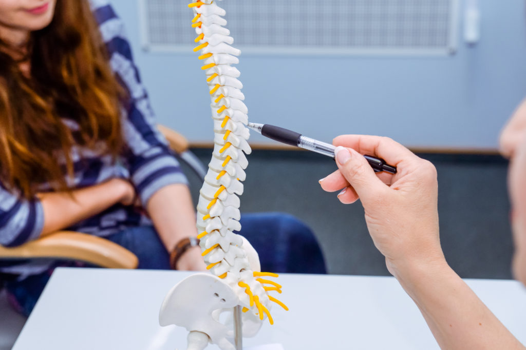 medical doctor woman pointing on spine model and explaining female patient her problem